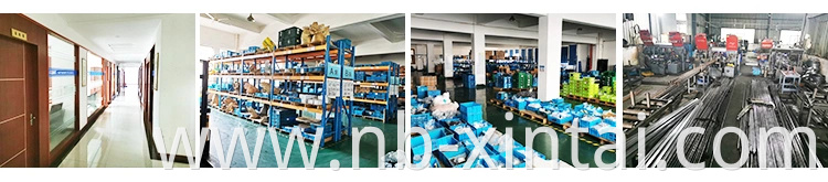 OEM Custom China Factory Manufacturer Assembly Hose Connector Hydraulic Ferrule Fittings Competitive Price Adapters Male Fittings Bsp Cross Price Ningbo ODM